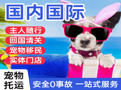 营口机场快运国际宠物托运 【国